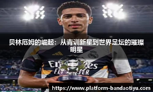 半岛体育官网